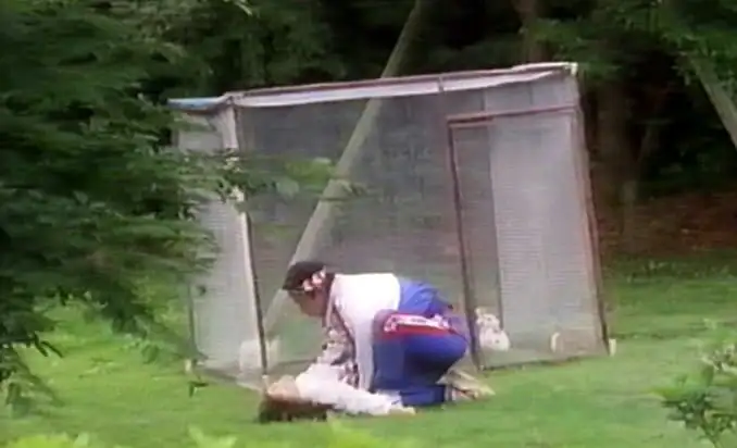 夢で逢いましょうの詳細ページ。